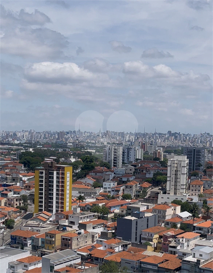 Foto REO1032869