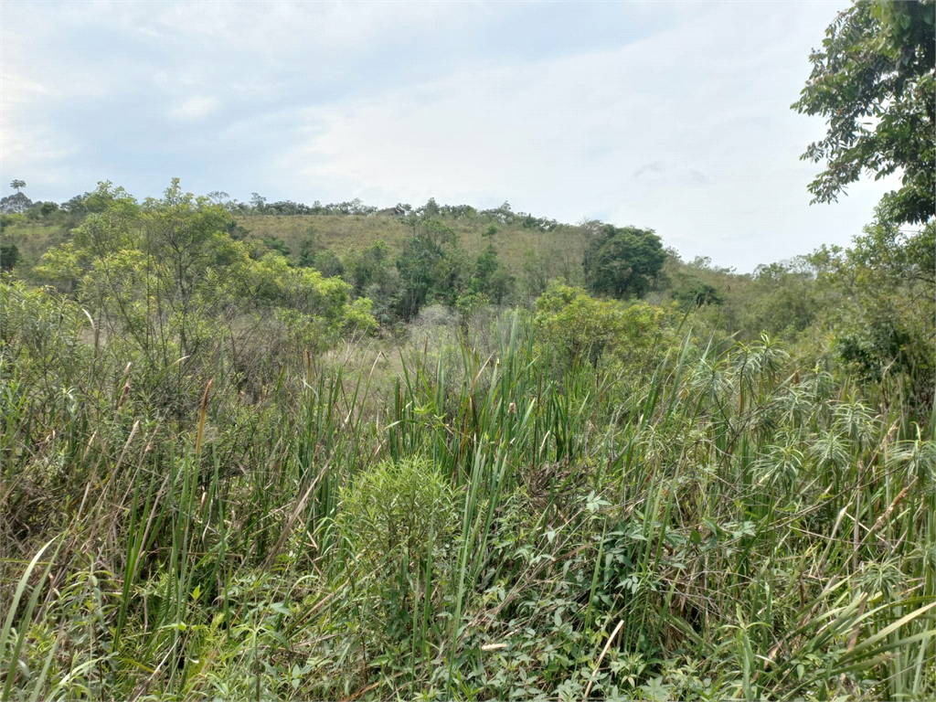 Venda Área de Terra Mogi Das Cruzes Botujuru REO1032948 1