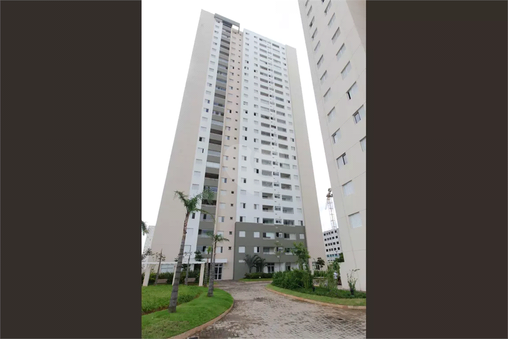 Venda Apartamento São Paulo Água Branca REO1032956 2