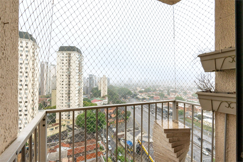 Foto REO1033190