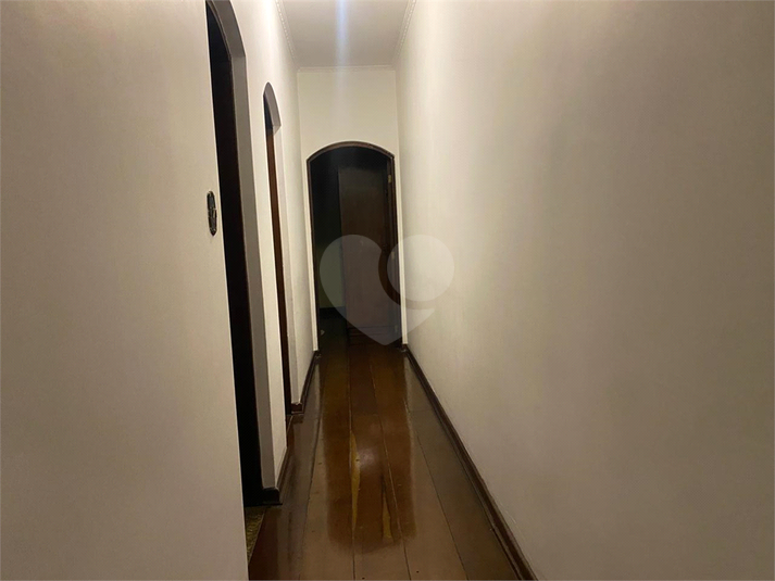 Foto REO1033222