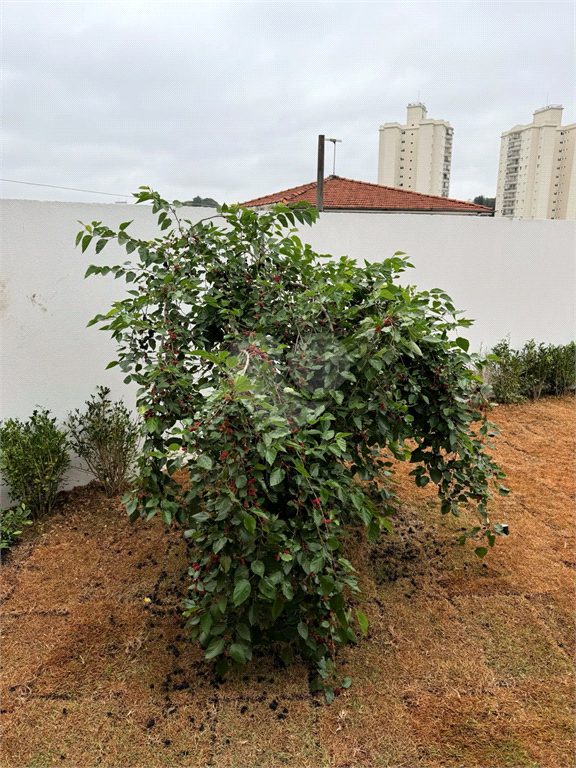 Venda Casa térrea São Paulo Jardim Líbano REO1033270 2