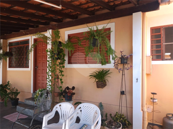 Foto REO1033459