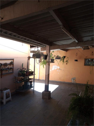 Foto REO1033459