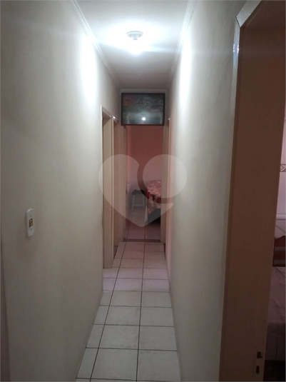 Foto REO1033459