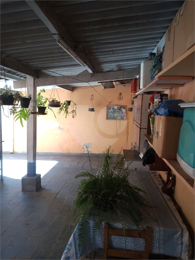 Foto REO1033459