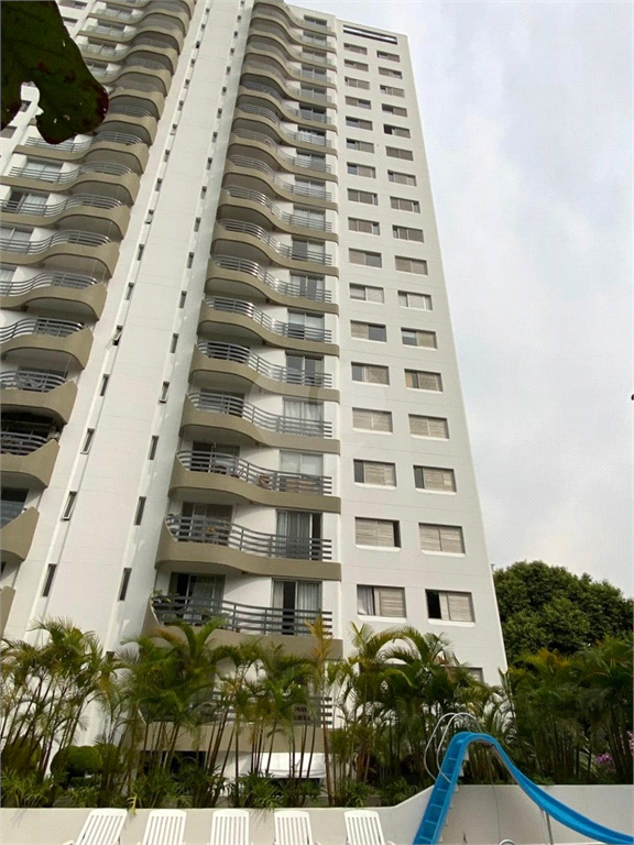 Venda Apartamento São Paulo Campo Belo REO1033460 40