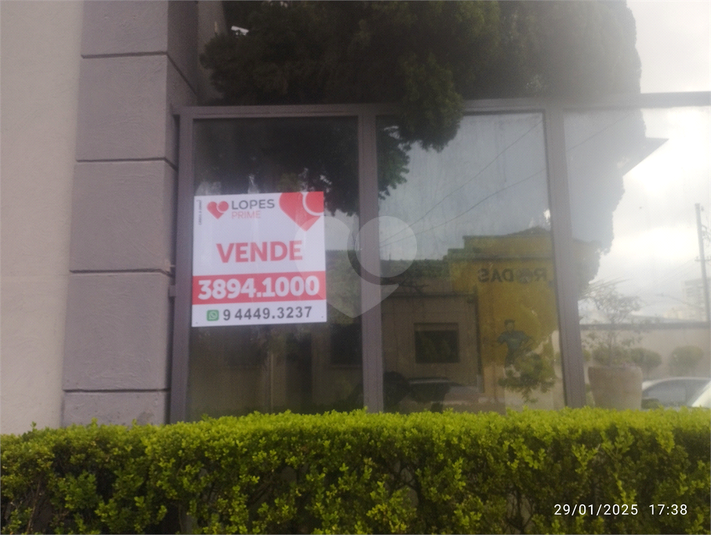 Foto REO1033590