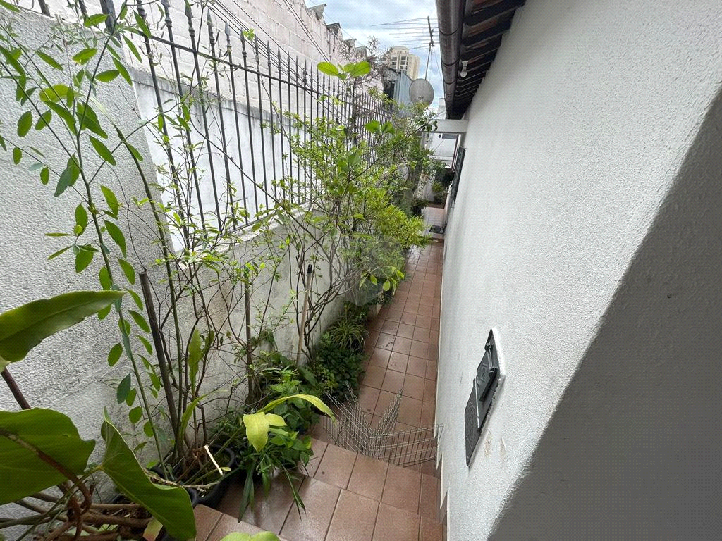 Venda Casa térrea São Paulo Vila Conde Do Pinhal REO1033623 13