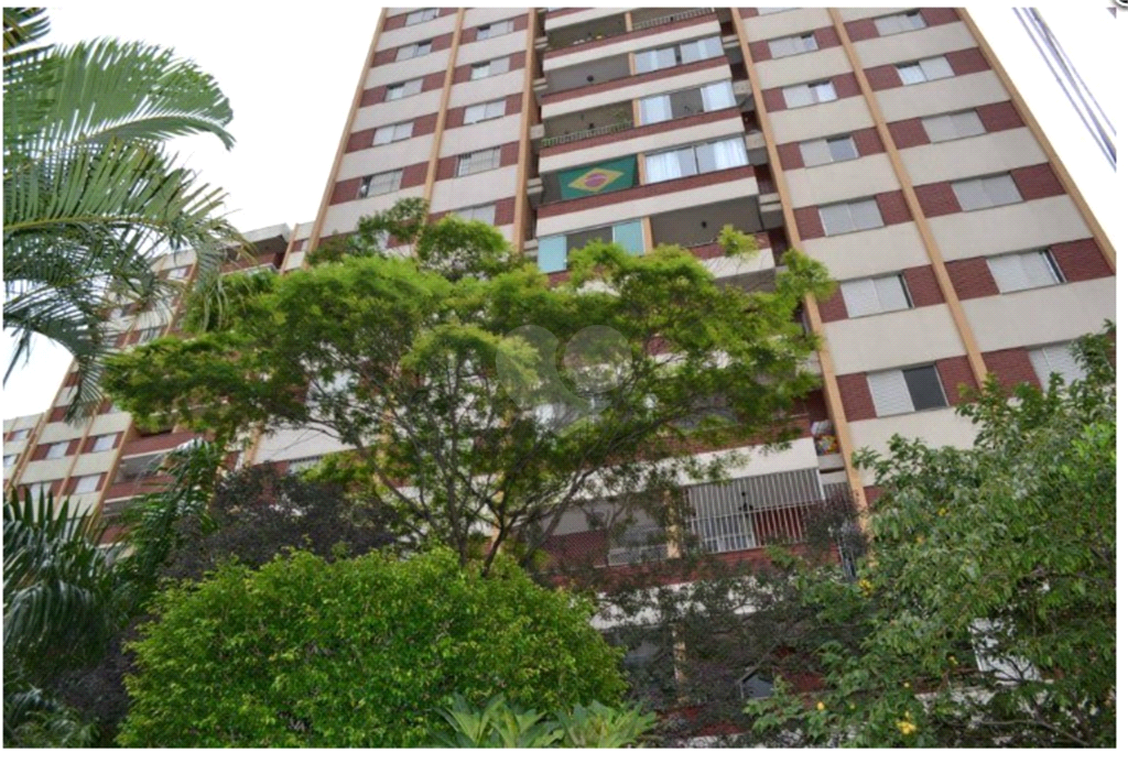 Aluguel Apartamento São Paulo Vila Prel REO1033682 22