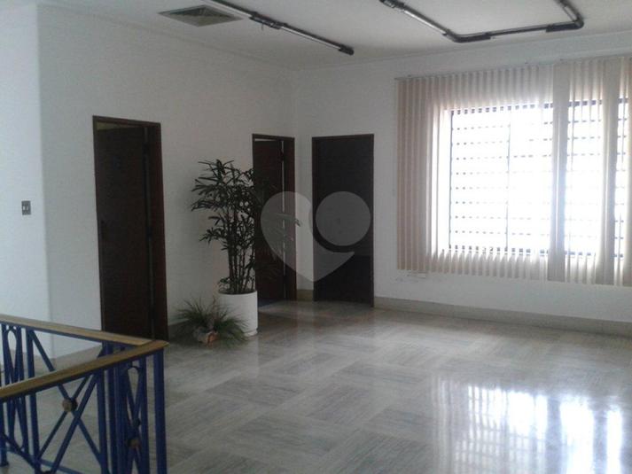 Foto REO103370