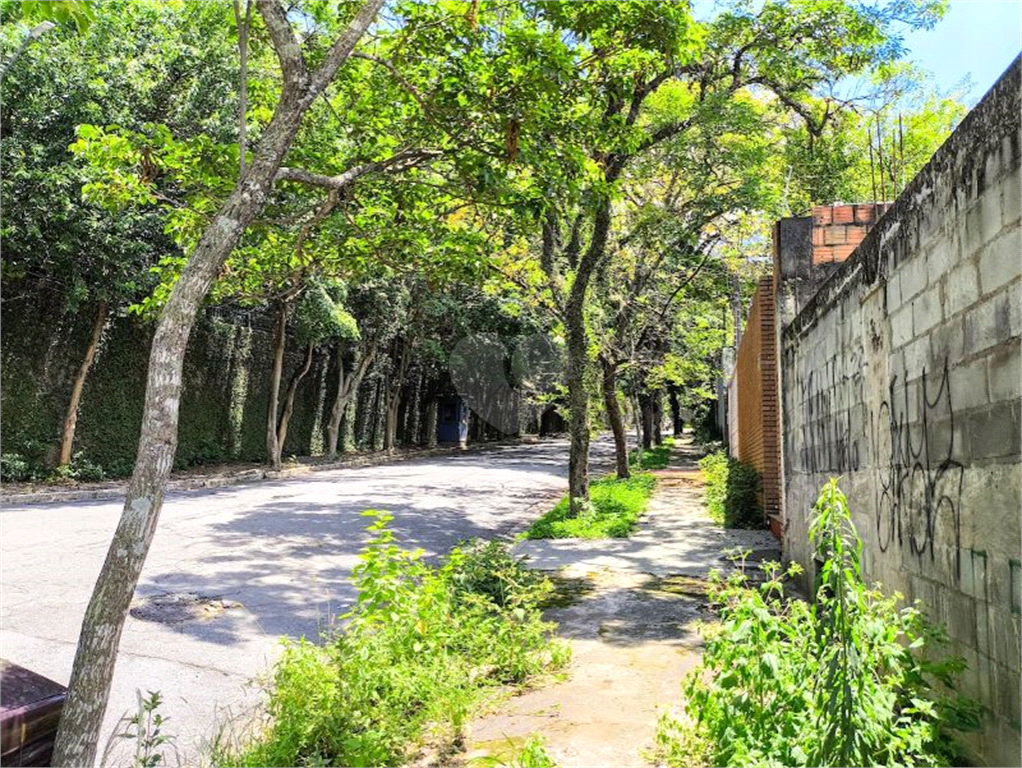 Venda Terreno São Paulo Vila Ida REO1033721 6