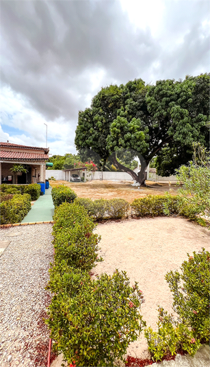 Foto REO1033727