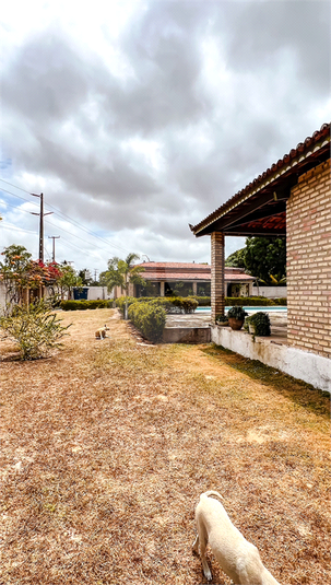 Foto REO1033727