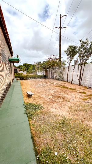 Foto REO1033727