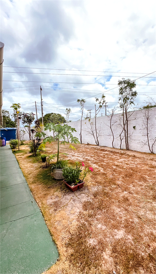 Foto REO1033727