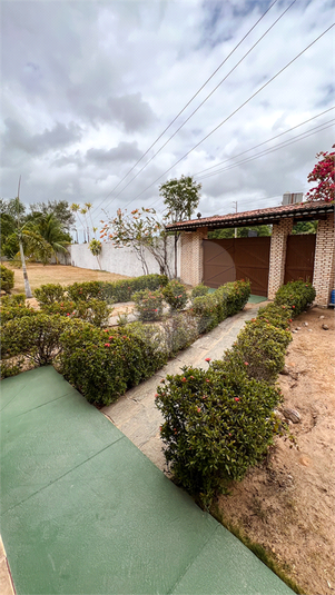 Foto REO1033727