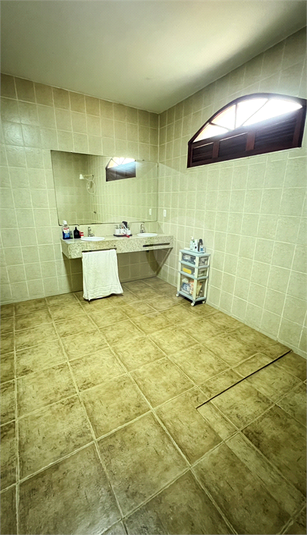 Foto REO1033727