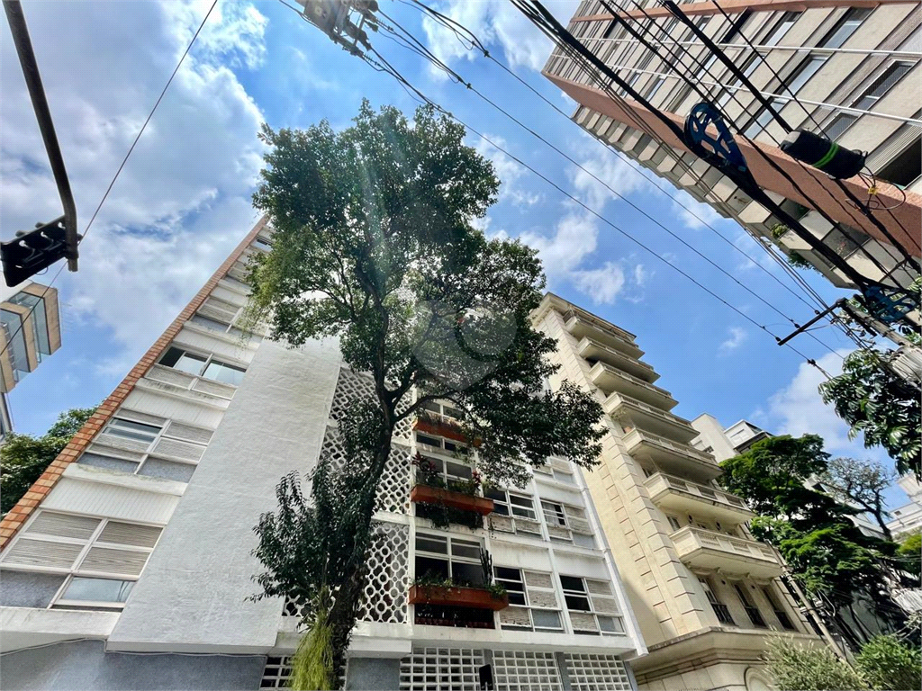 Aluguel Apartamento São Paulo Jardim Paulista REO1033732 31