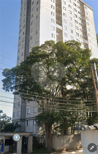Foto REO1033755