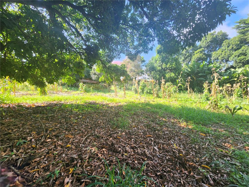 Venda Chácara Mineiros Do Tietê Centro REO1033782 13