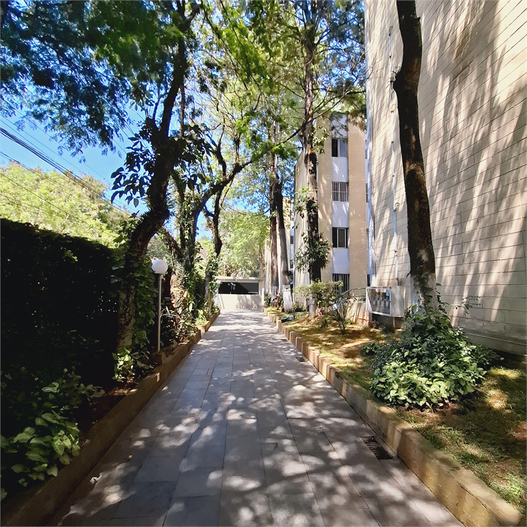 Venda Apartamento São Paulo Parque Das Árvores REO1034186 27