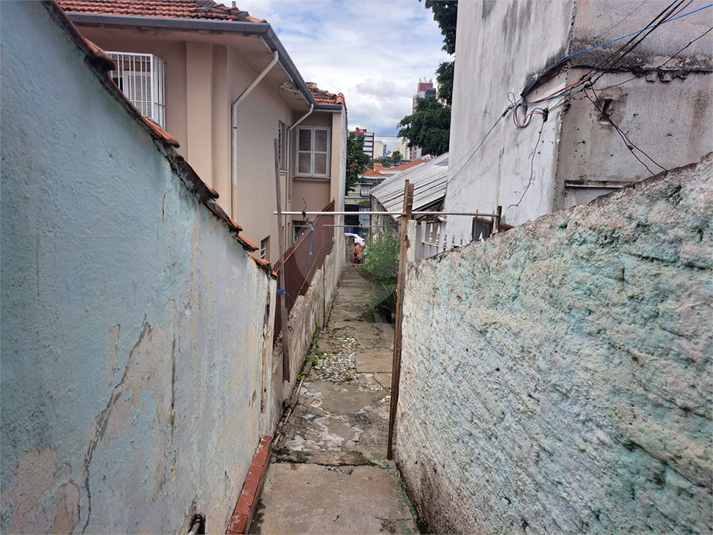 Foto REO1034229