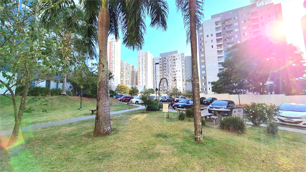 Venda Apartamento Sorocaba Parque Campolim REO1034269 14