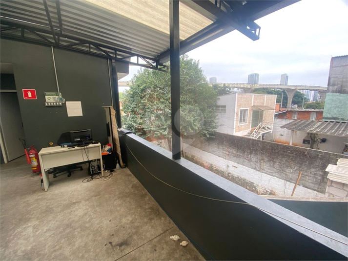 Foto REO1034284