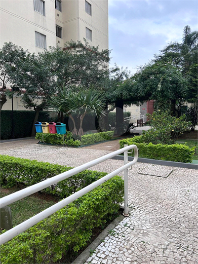 Foto REO1034306