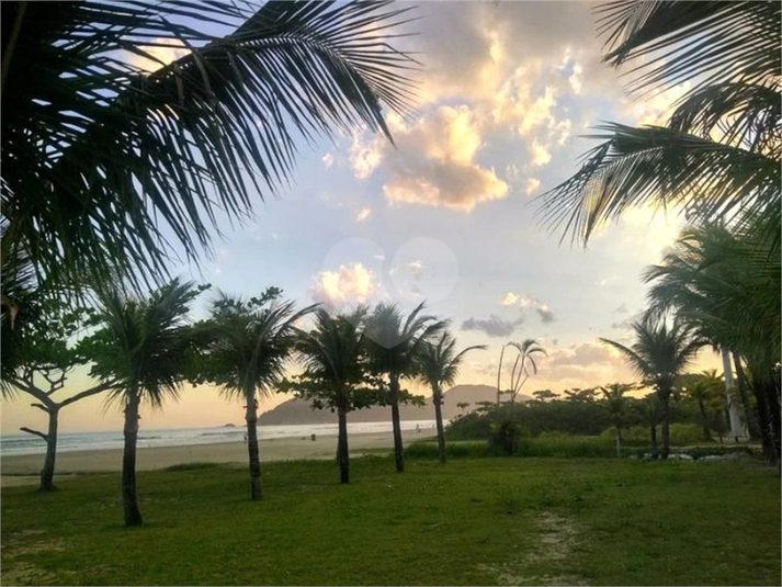 Foto REO1034369