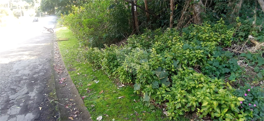 Venda Condomínio Mairiporã Caraguatá REO1034387 14