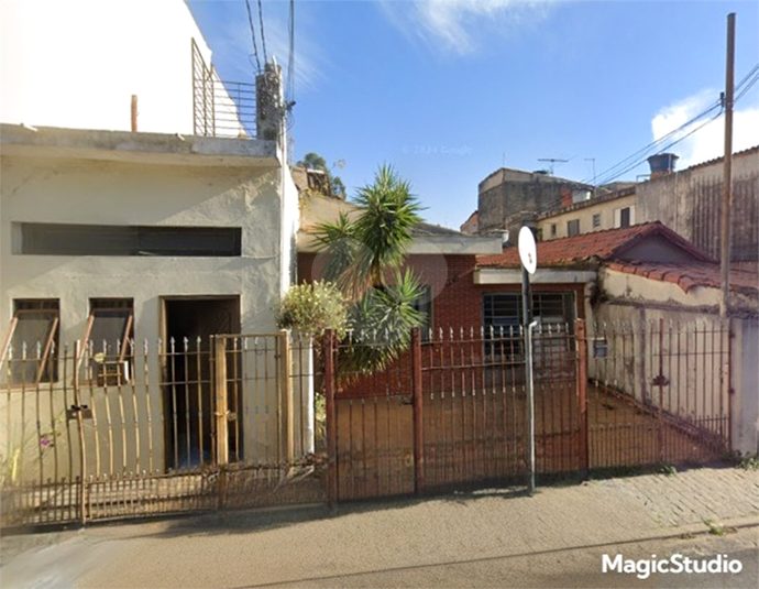 Foto REO1034542