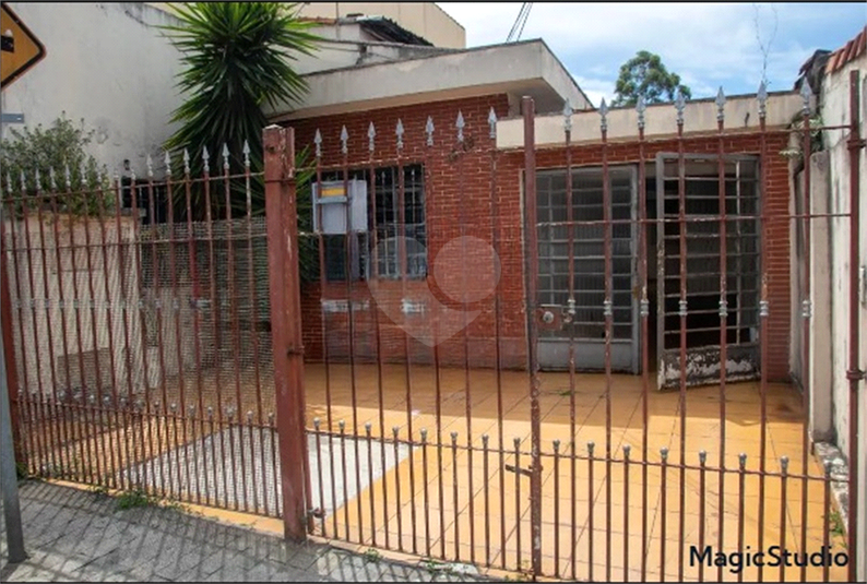 Foto REO1034542