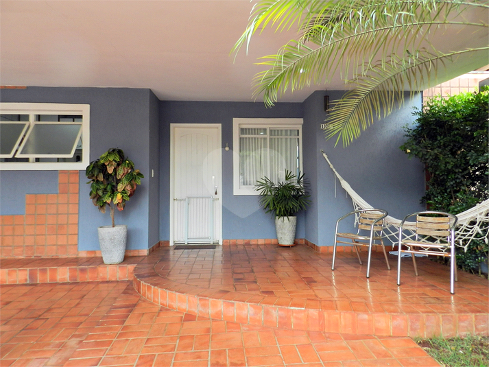 Foto REO1034617