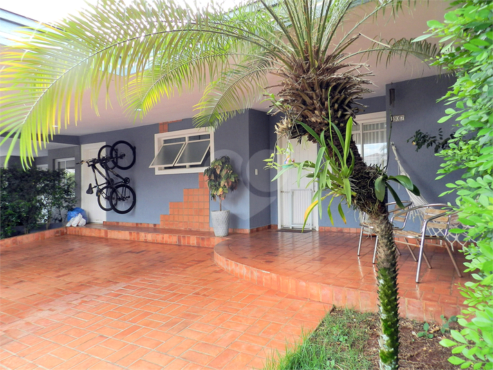 Foto REO1034617
