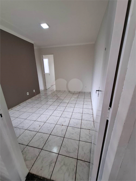 Venda Apartamento Araraquara Jardim Residencial Paraíso REO1034636 2