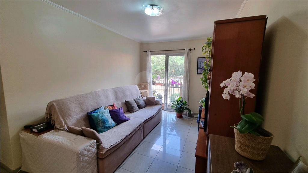 Venda Apartamento São Paulo Jardim Bonfiglioli REO1034643 1