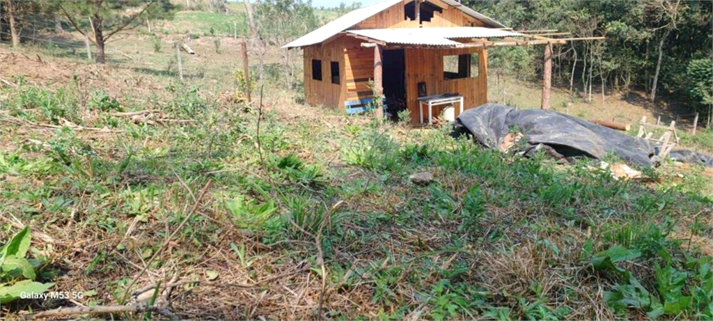 Venda Chácara São José Dos Pinhais Colonia Marcelino REO1034698 1