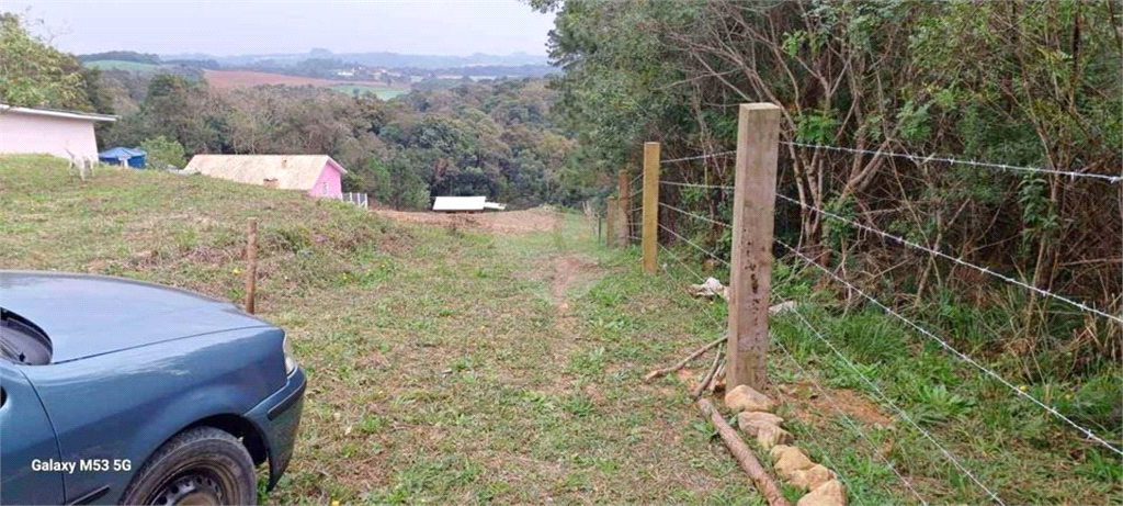 Venda Chácara São José Dos Pinhais Colonia Marcelino REO1034698 2