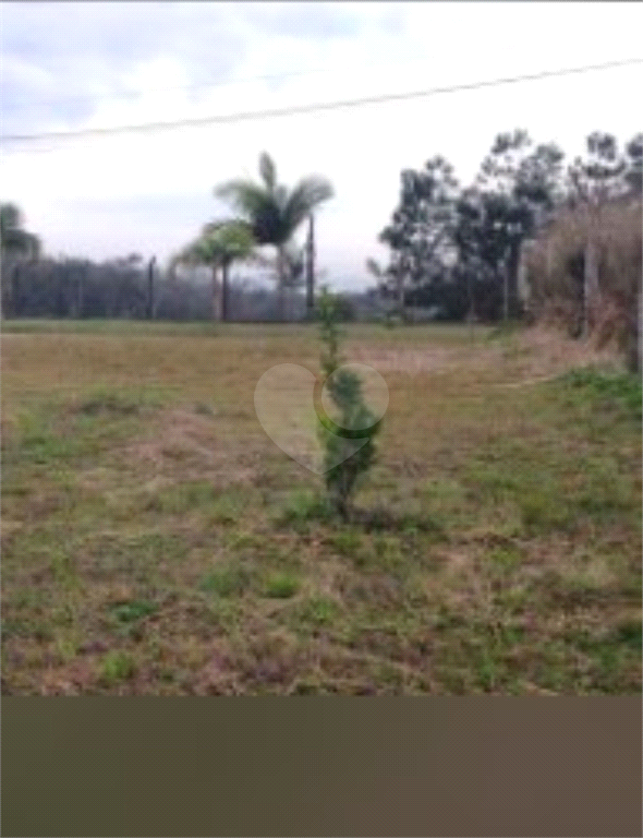 Venda Chácara São José Dos Pinhais Colonia Marcelino REO1034698 12