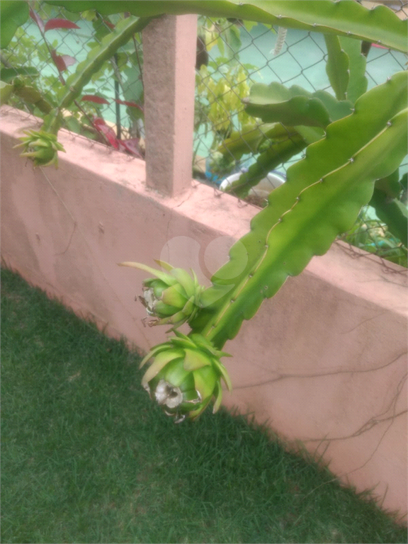 Venda Chácara Itupeva Parque Dos Cafezais I REO1034709 18