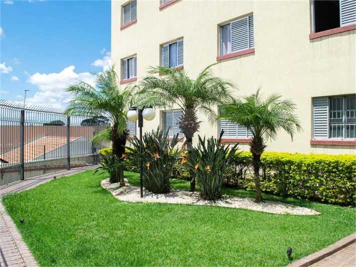 Venda Apartamento São Paulo Vila Palmeiras REO1034718 7