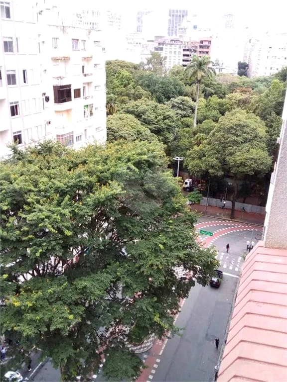 Venda Apartamento São Paulo Santa Efigênia REO1034832 2