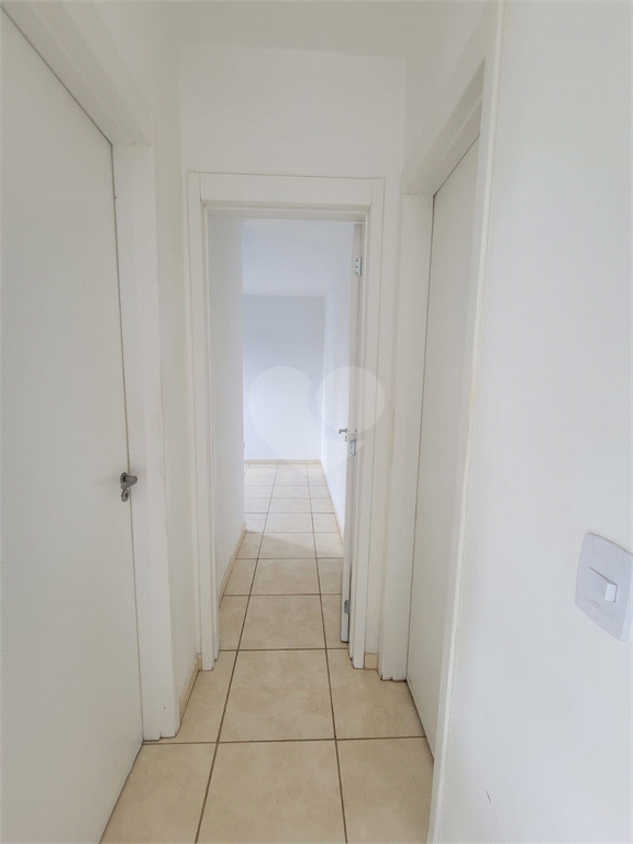 Aluguel Apartamento Bauru Jardim Terra Branca REO1034881 19