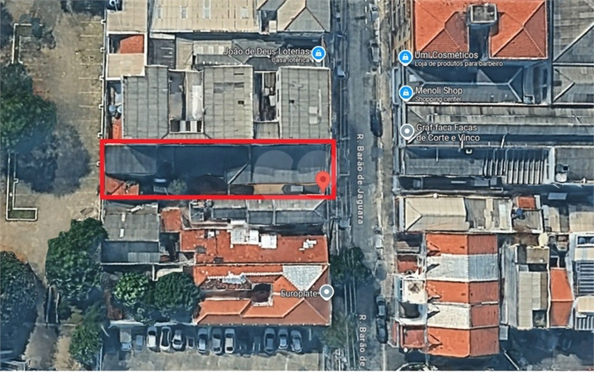 Foto REO1034896
