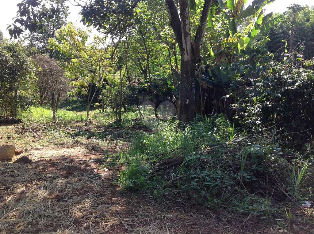 Venda Chácara Suzano Chácaras Reunidas Guaio REO1034946 11