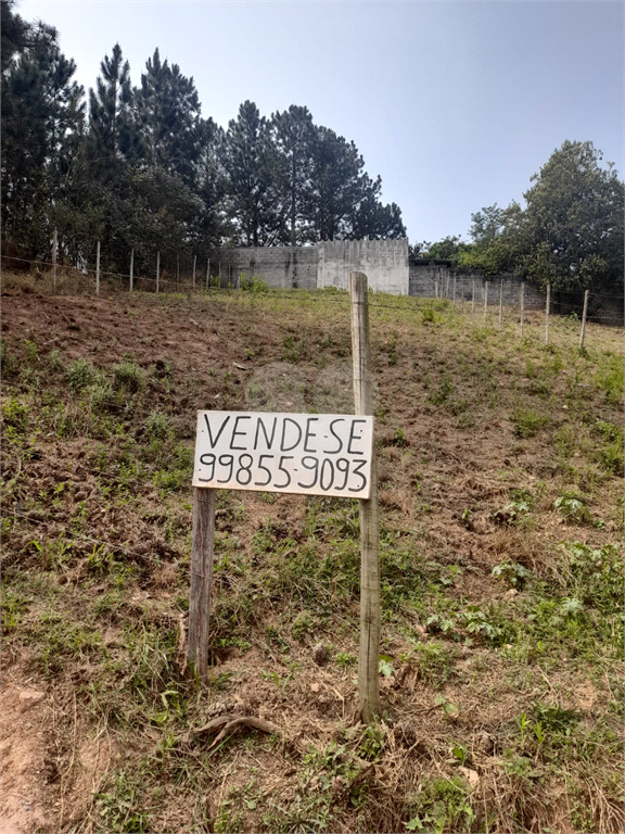 Venda Terreno Campo Limpo Paulista Jardim Santa Branca REO1034987 15