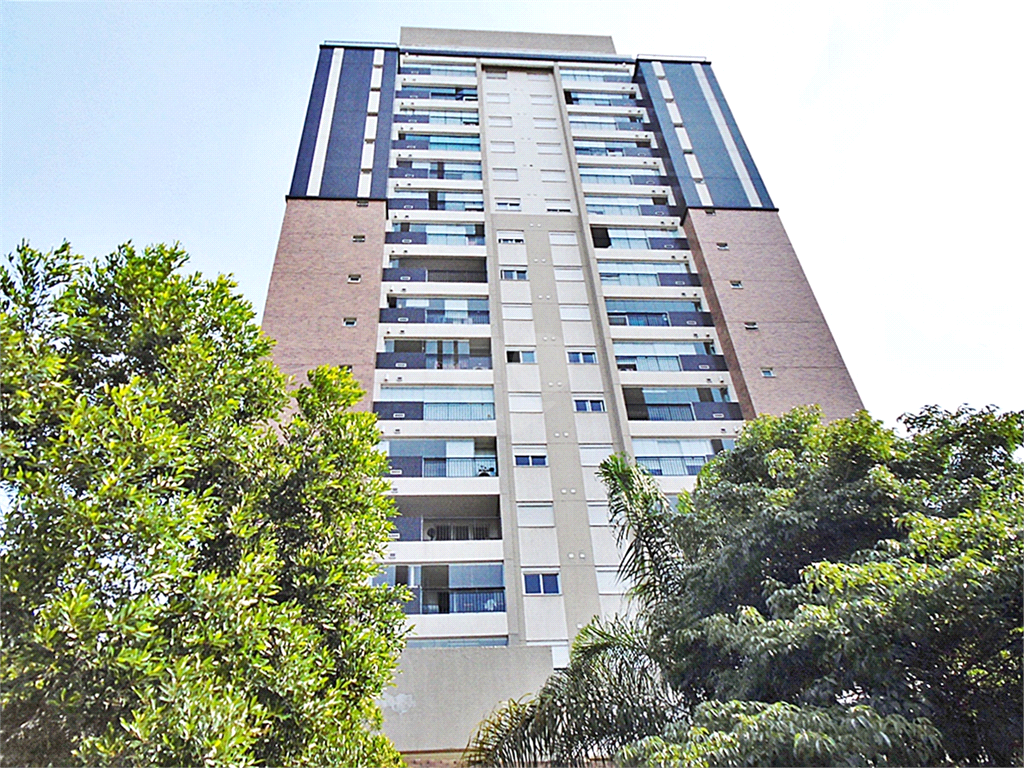 Aluguel Apartamento São Paulo Santana REO1035008 3