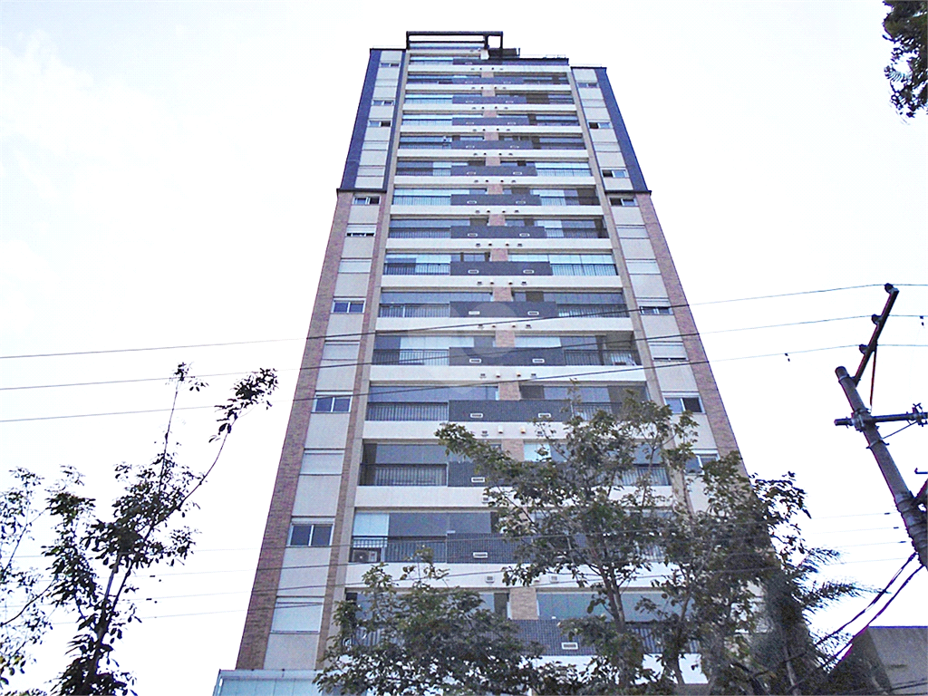 Aluguel Apartamento São Paulo Santana REO1035008 2